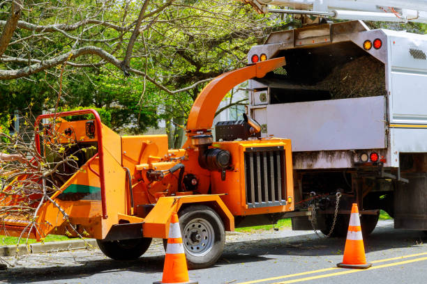 Best Commercial Tree Services  in Sergeant Bluff, IA